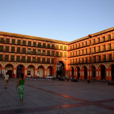 Nuevo Loft Centrico Parking Gratuito Leilighet Córdoba Eksteriør bilde